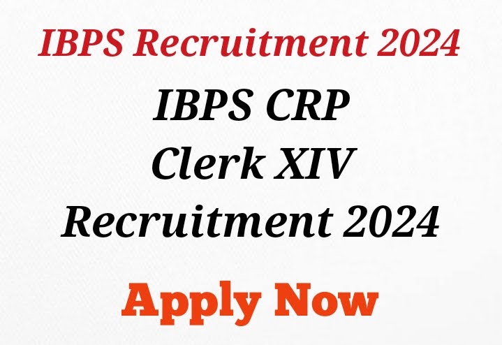 IBPS CRP Clerk XIV Recruitment 2024