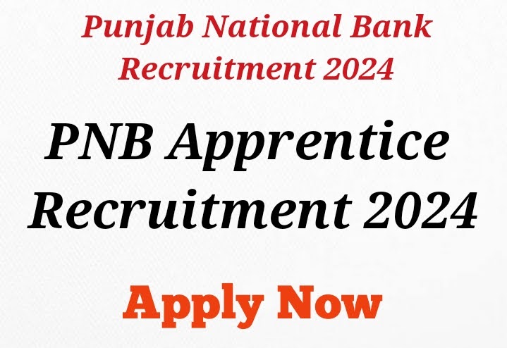 Punjab National Bank Apprentice Recruitment 2024